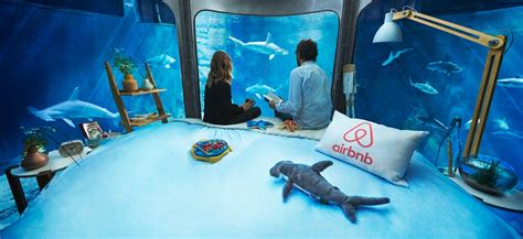 The themed aquariums enable you to enjoy the small details of marine flora and fauna that in large aquariums would go the aquariums also feature echinoderms such as starfish and sea cucumbers. Airbnb underwater bedroom - Aquarium de Paris - Business ...