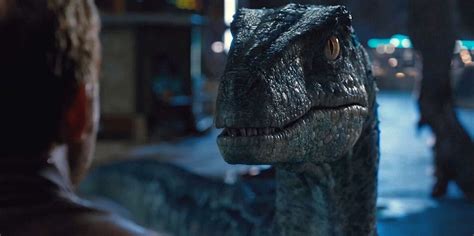 5 Reasons You Know The Love Is Real Between Owen And Blue In ‘jurassic World’ Fandom