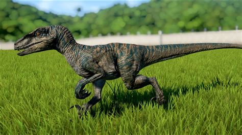 Jurassic World Evolution Velociraptor Gameplay Ps4 Hd 1080p60fps Youtube