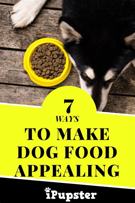 How To Make Dog Food More Appealing In 7 Easy Steps Make Dog Food