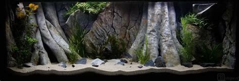 3d Backgrounds For Aquariums Available In All Measurements Our