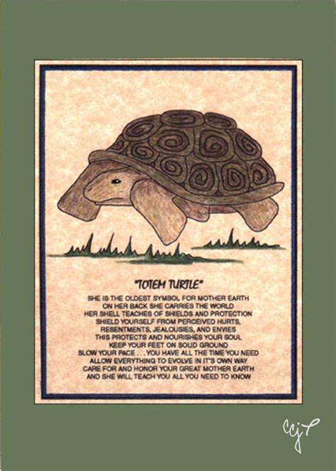 66 Best Turtles Images On Pinterest Turtles Garden Deco