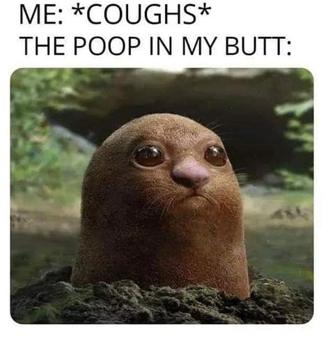 Diaper Poop Pictures Memes And Posts On Joyreactor