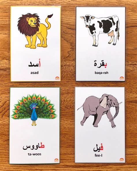Arabic Alphabet Animal Flashcards Arabic Arabic Flashcards Etsy Australia