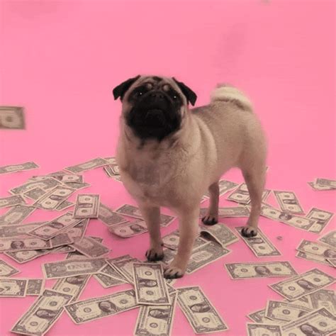 With tenor, maker of gif keyboard, add popular lots of money animated gifs to your conversations. Pink Dollar GIFs - Get the best GIF on GIPHY