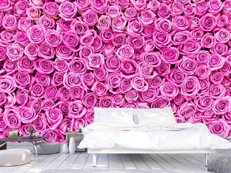 Pink Rose Wallpaper Pattern