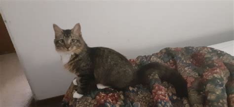 ByeDon! Trump for NYS Prison 2020! on Twitter: "@BouviesMom