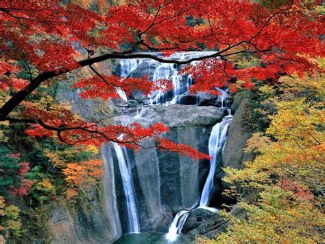 Wallpaper Waterfall Autumn Foliage Rock Nature Japan Leaves Of Fukuroda
