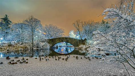 Bow Bridge In Winter Central Park Backiee