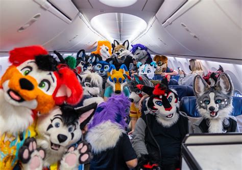 Furries On A Plane Southwest Airlines Flight Taken Over By Animal Costumes
