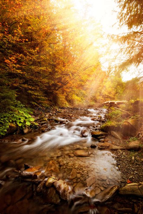 Autumn Stream With Book Stock Image Image Of Autumn 25404765