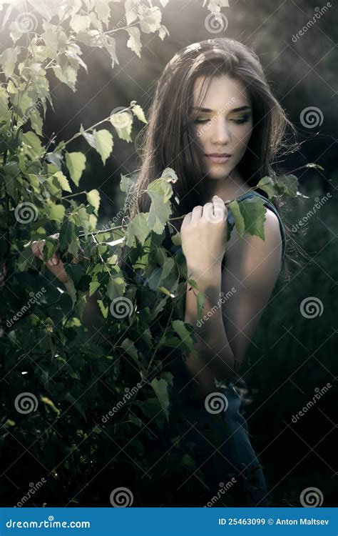 Beautiful Woman In Nature Scenery Stock Image Image Of Face Fairy