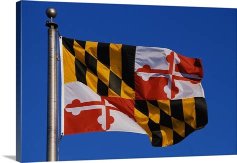 Maryland State Flag Wall Art Canvas Prints Framed Prints Wall Peels