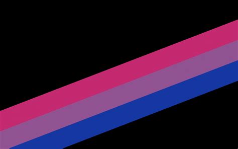 Tons of awesome bisexual flag wallpapers to download for free. Free download Bi Pride Flag Wallpapers Top Bi Pride Flag ...