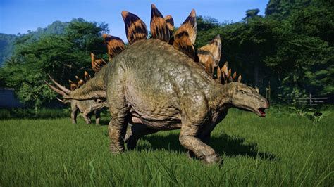 Stegosaurus Wallpapers Top Free Stegosaurus Backgrounds Wallpaperaccess