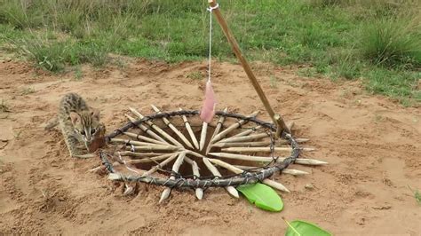 Primitive Technology Tiger Trap By Deep Hole And YouTube