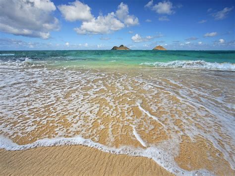 Free Download Shoreline Oahu Hawaii Wallpaper You Are Viewing The