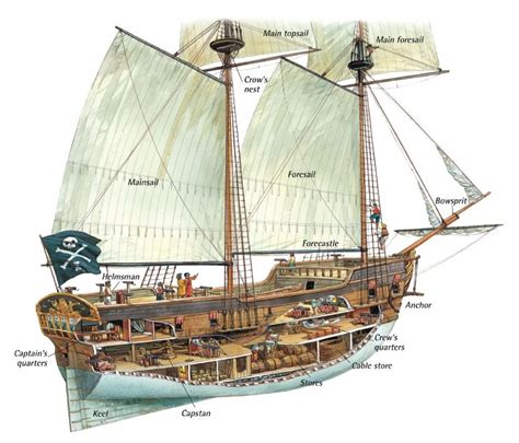 captains quarters bateau pirate deck layout old sailing ships brigantine sailing vessel