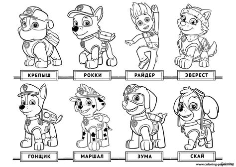 Everest is the ninth principal member of paw patrol and its goal is to clear the streets of snow. Kids Coloring Pages Paw Patrol at GetColorings.com | Free ...