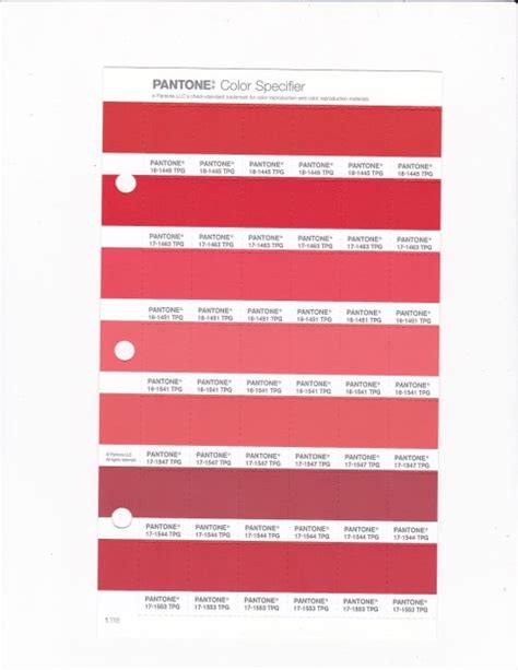 Pantone 17 1544 Tpg Burnt Sienna Replacement Page Fashion Home