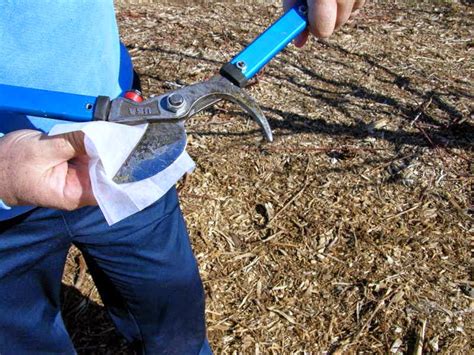 Removable rubber jaw pads protect surfaces from marring and damage. Xtremehorticulture of the Desert: How Do You Sterilize ...