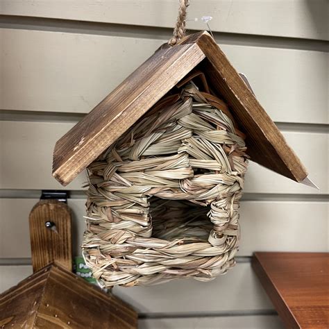 Robin Bird House - Bird Watching Academy