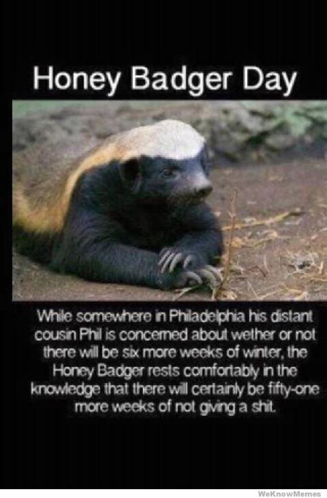 He Dont Care Honey Badger Bones Funny Funny Pictures