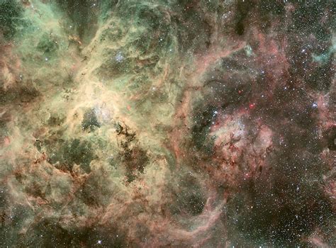 Tarantula Nebula 30 Doradus Ngc 2070 Constellation Guide