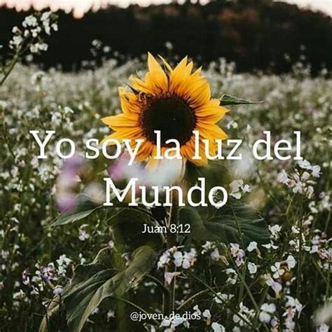 Yo soy la luz del mundo. Foto con versículo biblico | La luz del mundo, Fotos ...