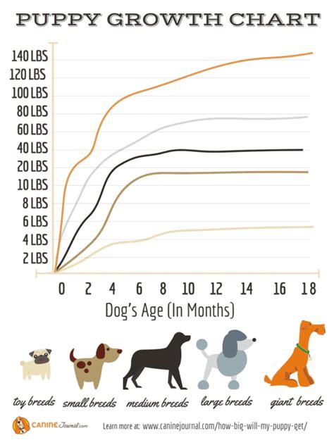 Puppy Growth Chart Large Breed