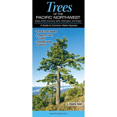 Pacific Northwest Pacific Northwest Field Guides Trees Of The