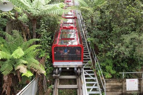 A safe stay is our top priority so we have enhanced hygiene measures in place, along with social distancing practises. Wonderfully fun family park! - Review of Scenic World Blue ...