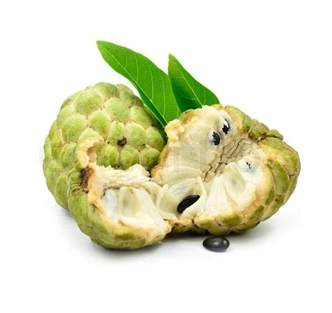 An excellent source of vitamin c and manganese, a good source of thiamine and vitamin b, iron, magnesium, phosphorus and potassium in fair quantities. Custard apple (Annona squamosa) heart-shaped fruit which ...