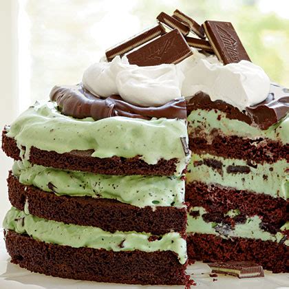 Instead i continued the recipe but it ended up looking like cake batter, so i added. Mint Chocolate Chip Ice-Cream Cake | Quick & Easy Recipes