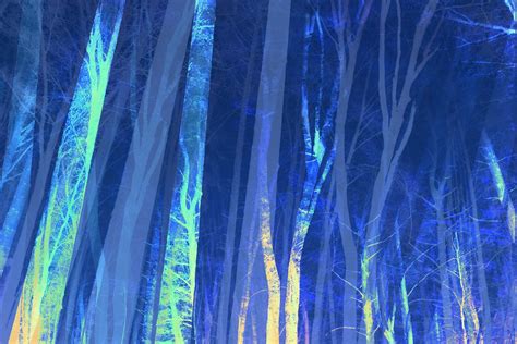 Buy Forest Trees Night Blue Wallpaper Free Shipping