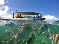 Part Time Paradise At Wendys Flex Your Hours Enjoy Flexible Benefits