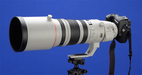 Canon Ef 200 400mm F4l Is Usm Extender 14x Lens Review Shutterbug