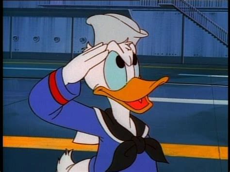 Donald Duck Disney Wiki