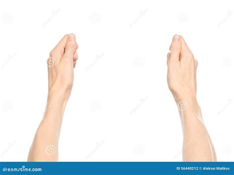 First Person Hands