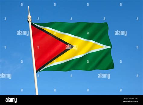 Guyana Flag Flags Country Travel Tourism Insignia Hi Res Stock