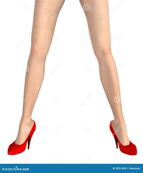 Beautiful Woman S Legs Stock Illustration Illustration Of High 9031499