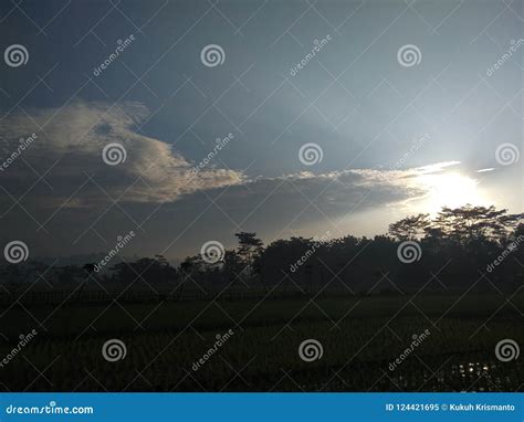 Morning Field Stock Image Image Of View Beautiful 124421695