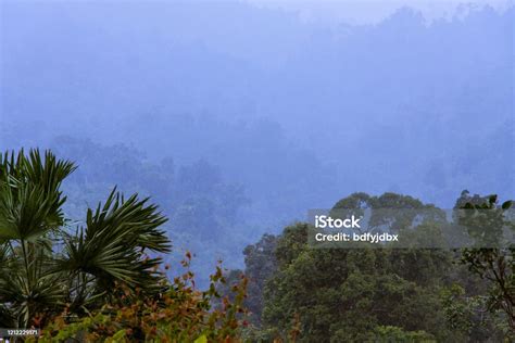 Jungle Storm Stock Photo Download Image Now Asia Backpack Beauty
