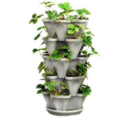 55 Best Vertical Garden Ideas Planters And Diy Kits Designing Idea
