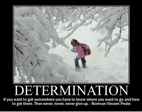 Determination Quotes Quotesgram