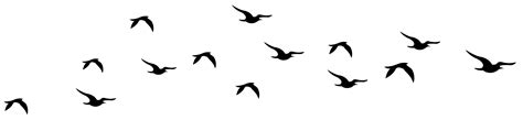 Free Flying Bird Silhouette Clip Art Download Free Flying Bird