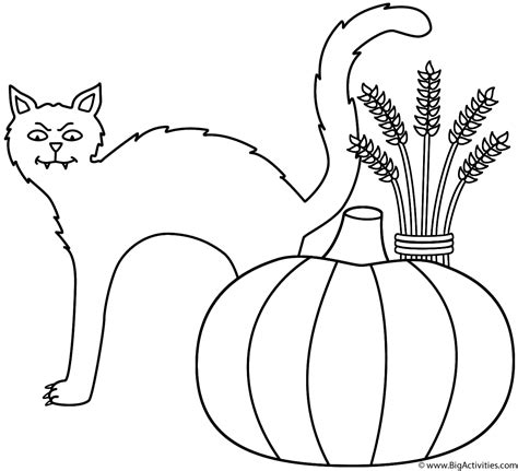 Home > holiday coloring pages > free printable vampire coloring pages. Black cat with pumpkin and wheat sheaf - Coloring Page ...