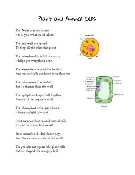Sitting in his bedroom that measures twelve by eight he types life on a plasma screen of how his. Plant and Animal Cell Poem by Sydney Bergen | Teachers Pay ...