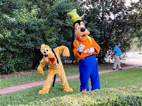 Photos Video Disney Characters Return To Walt Disney World Resort