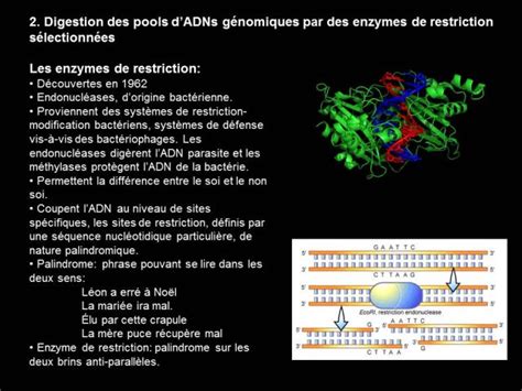 Une Introduction à La Biologie Moléculaire Présentation Et